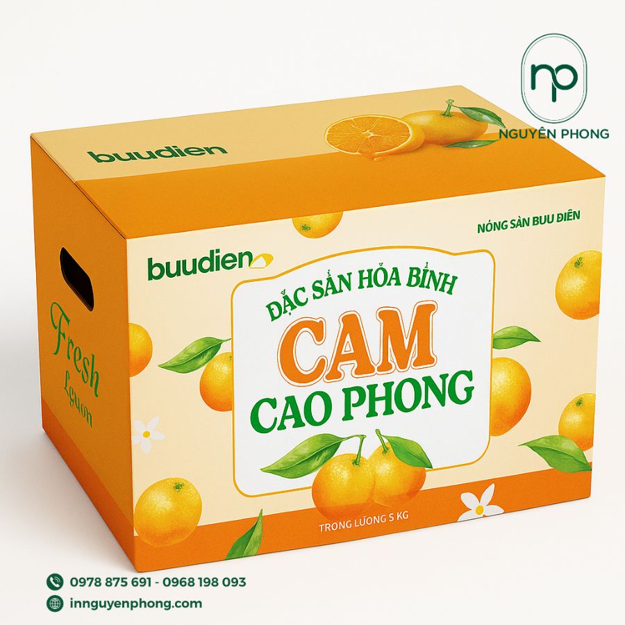 in-thung-carton-dung-dua-gia-re-tai-ha-noi
